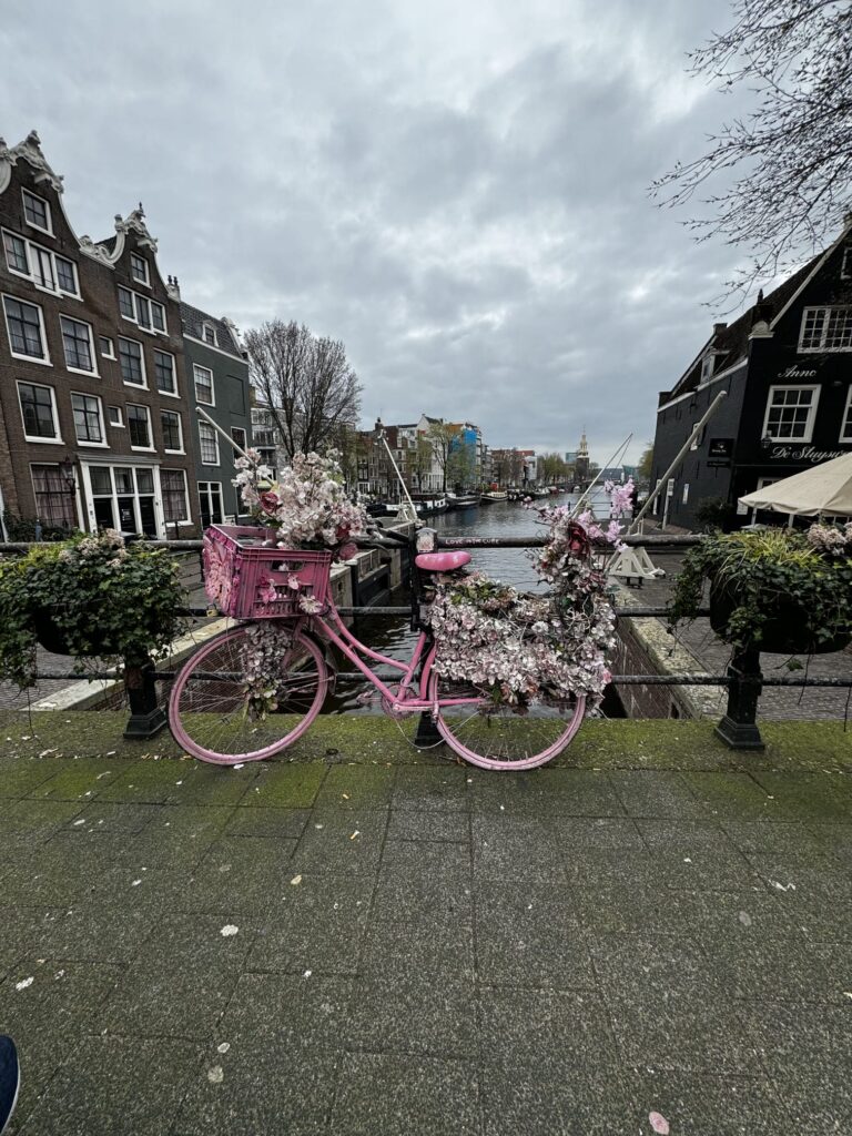 Amsterdam_Pink Decorative Bike