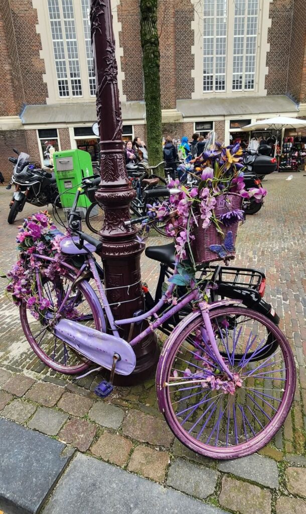 Purple Flower Bike_Amsterdam