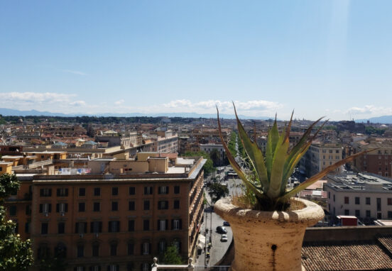 Panoramic view of Roman rooftops and the Vatican gardens seen from a museum terrace on a sunny day.