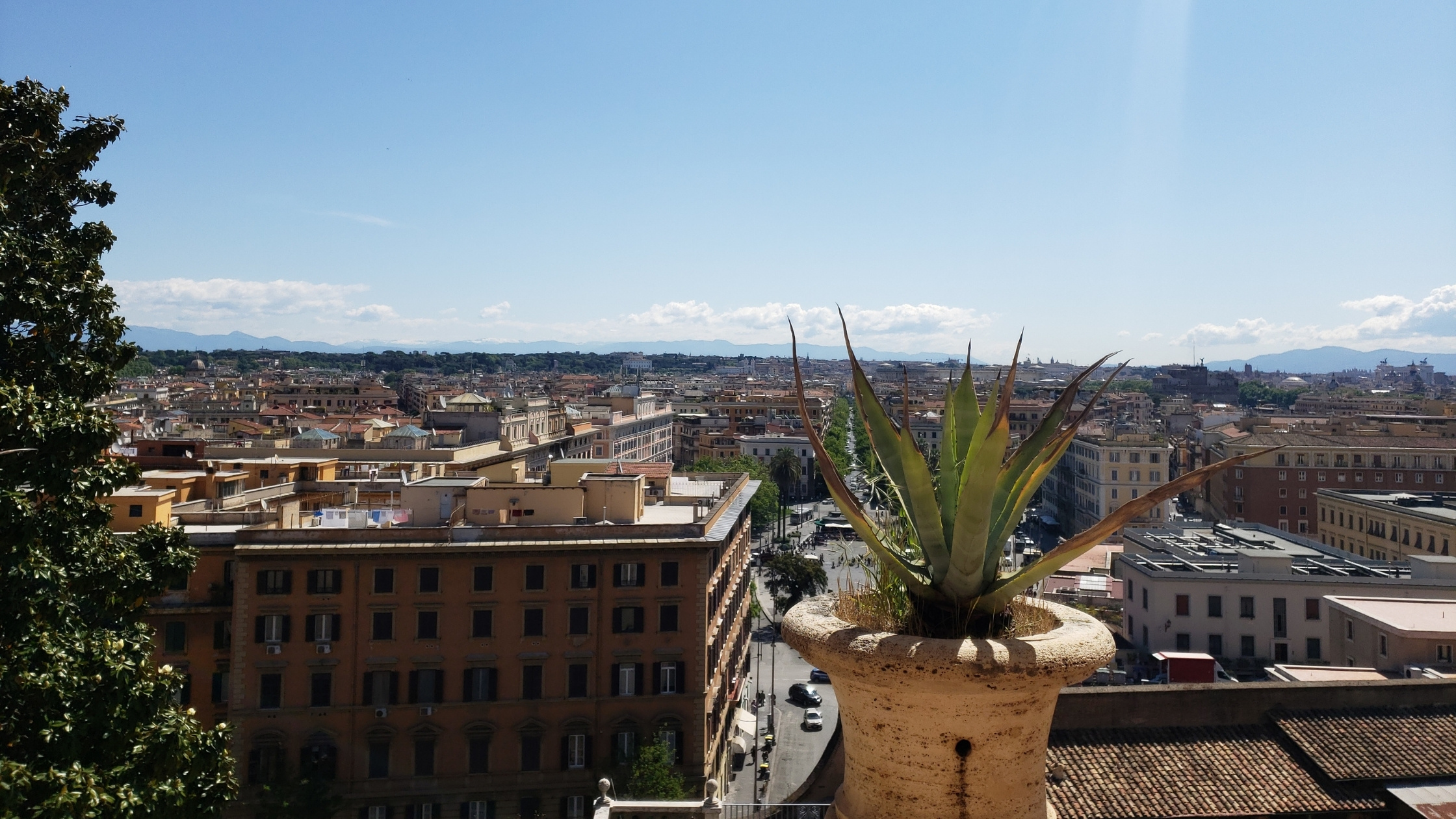 Panoramic view of Roman rooftops and the Vatican gardens seen from a museum terrace on a sunny day.